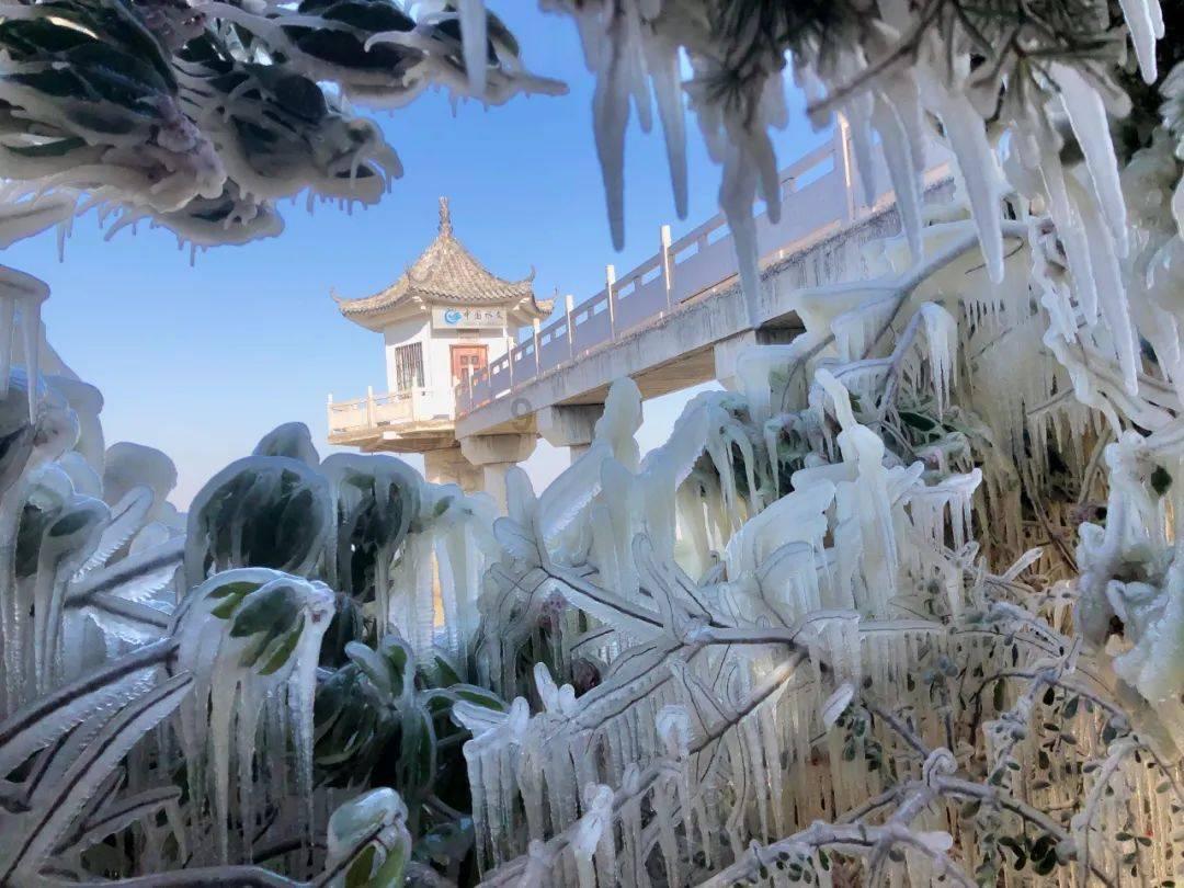 狐狸的旅程