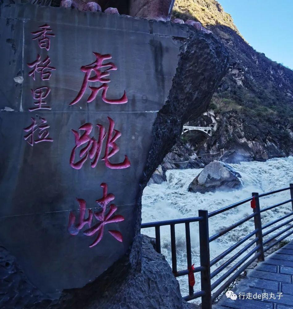 救援农场少年