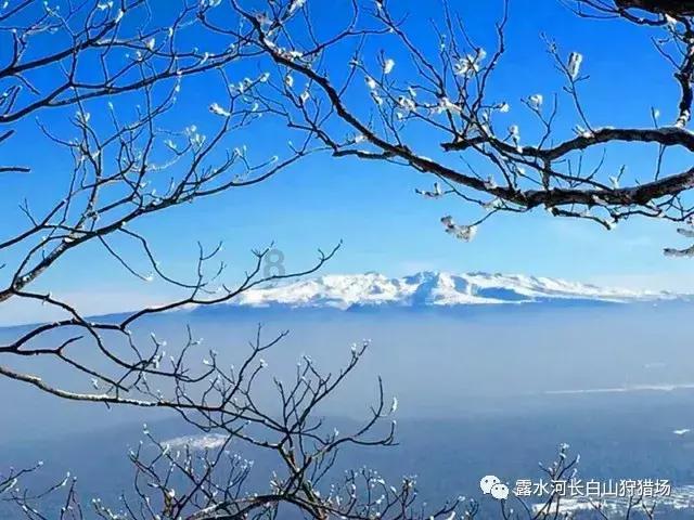 史莱克七怪