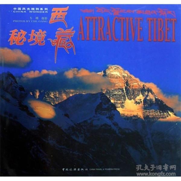 新黄金矿工