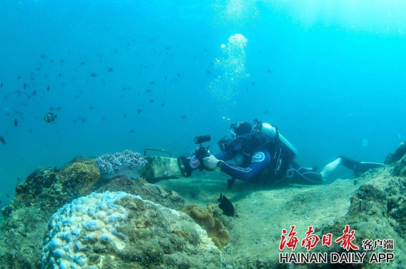 《木筏求生》滑索部件获取方法