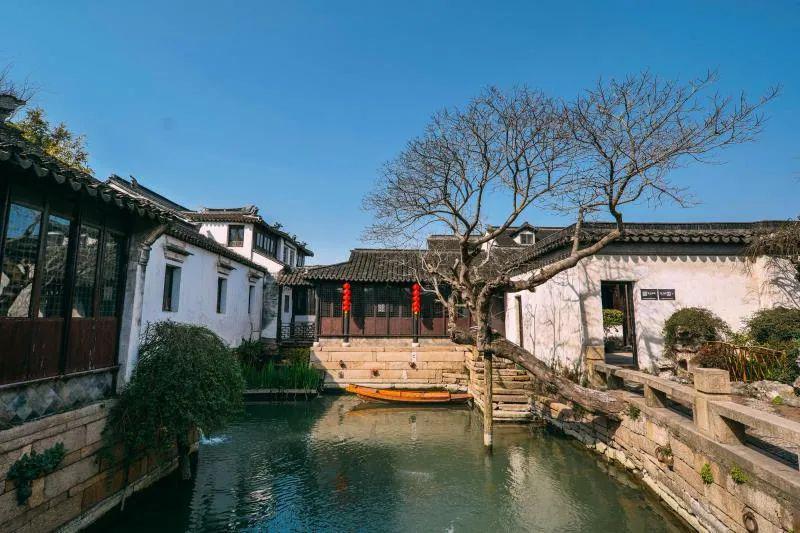 日照:花馍“蒸”出幸福年