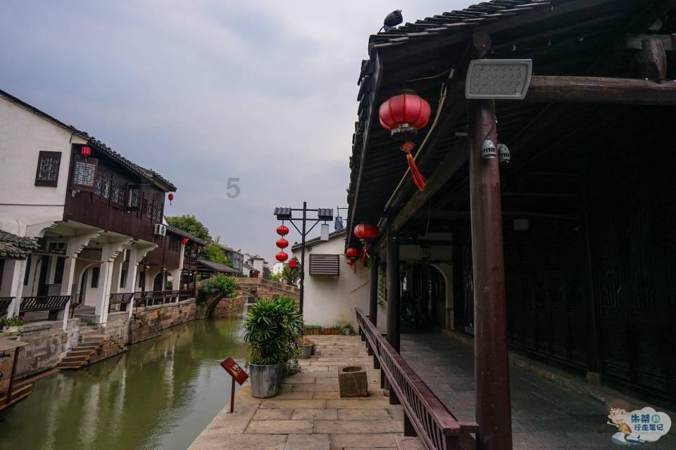 饥饿的哈利